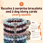 The Monthly Paws Club