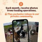The Monthly Paws Club