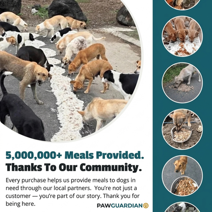 5,000,000+ meals provided, thanks to our community