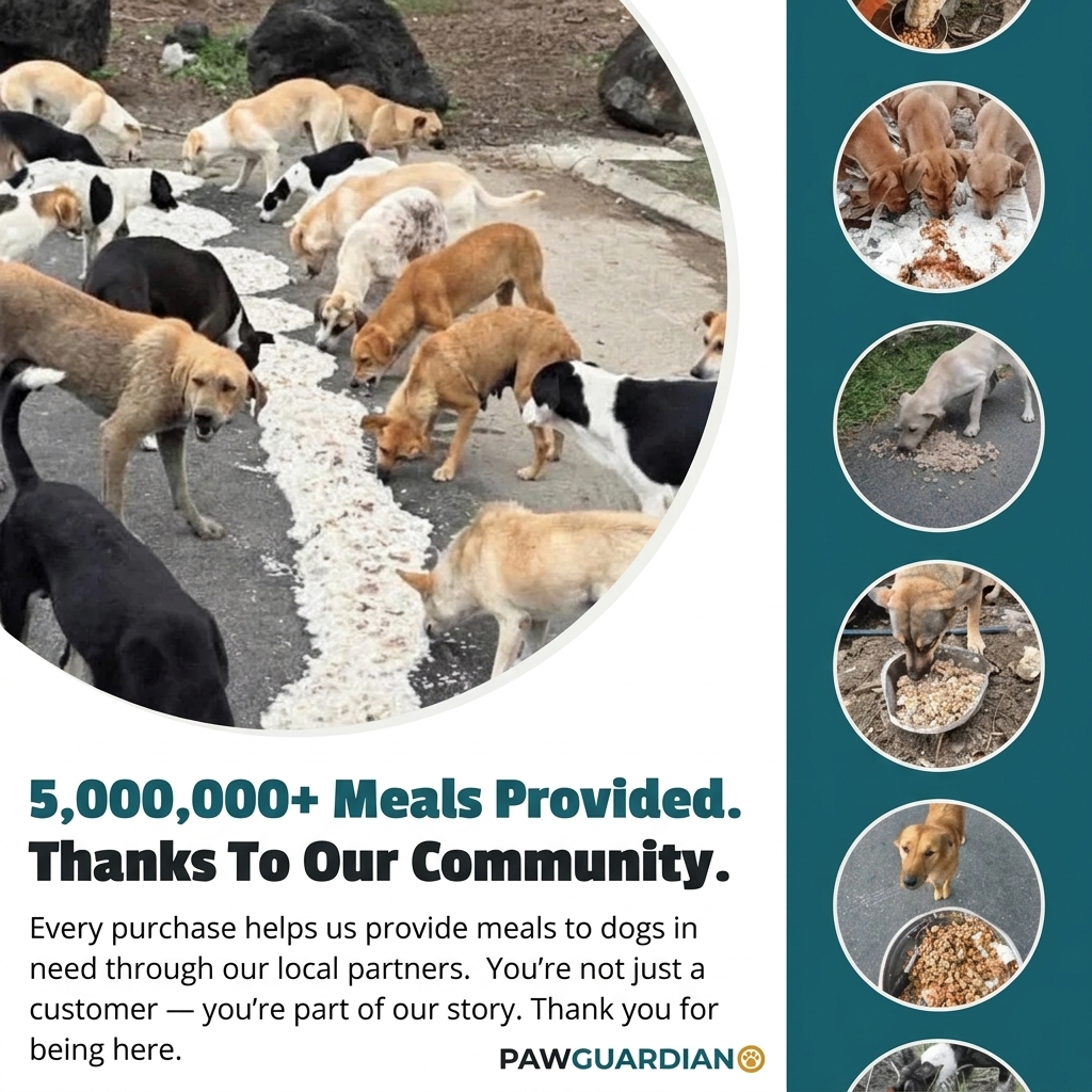 5,000,000+ meals provided, thanks to our community